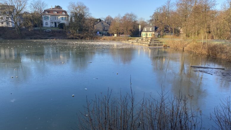 Goldberger Teich zugefroren 777x437